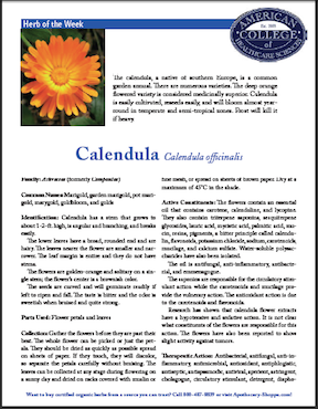 Calendula