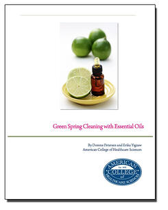 green spring cleaning green spring cleaning