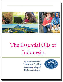 Indonesia_cover2