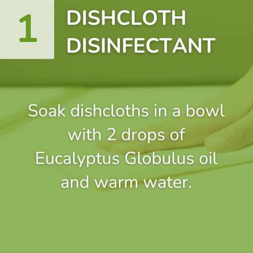 1) Dishcloth Disinfectant-1