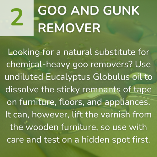2) Goo and Gunk Remover-1