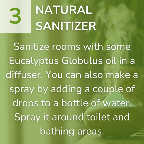 3) Natural Sanitizer-1