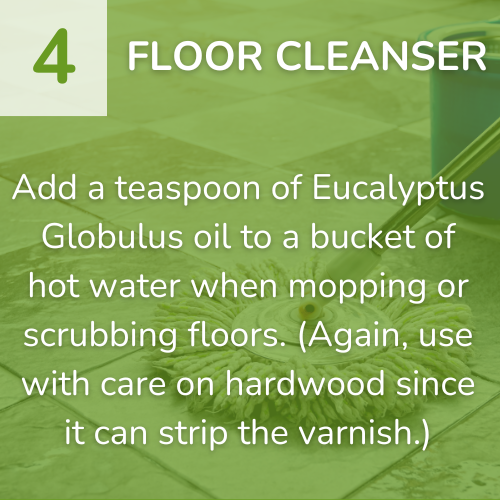 4) Floor Cleanser-1