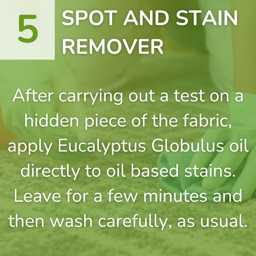 5) Spot and Stain remover-1