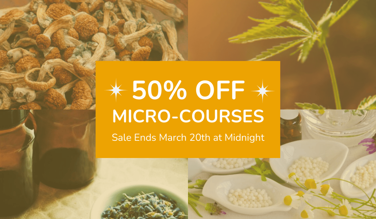 50% OFF Micro-credentials Email Banner (3)