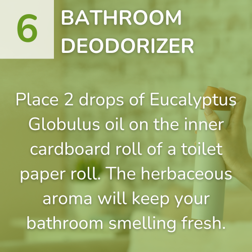 6) Bathroom Deodorizer-1
