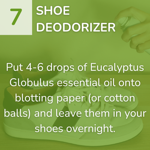 7) Shoe Deodorizer-1