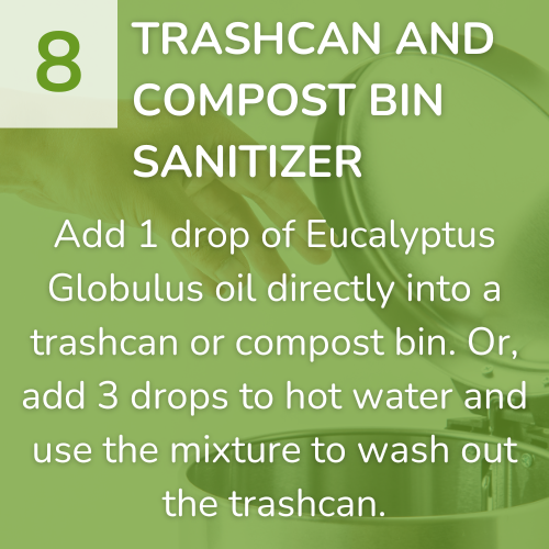 8) Trashcan and Compost Bin Sanitizer-1