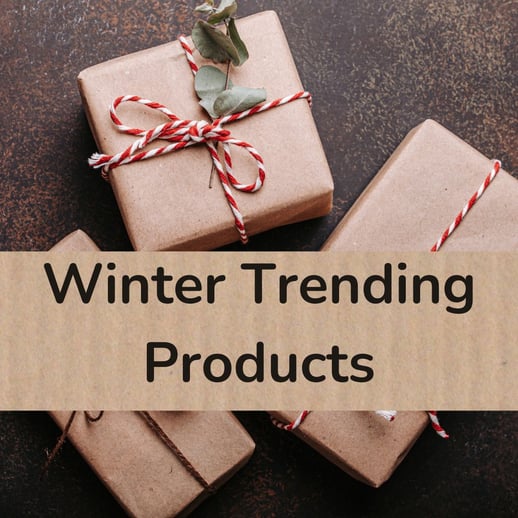 Winter Trending Products