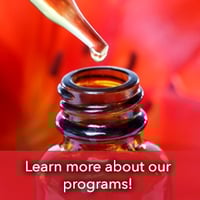 learn more about our programs