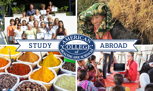 study-abroad-collage