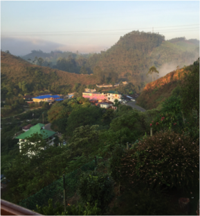 india-289x311.png